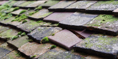Kelvedon Hatch roof repair costs